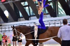 andrassyzola@gmail.com