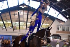 andrassyzola@gmail.com