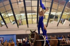 andrassyzola@gmail.com