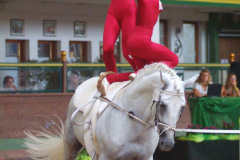 DSCF0339