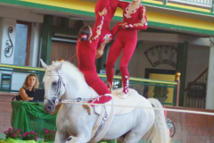 DSCF5629