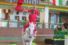 DSCF5637