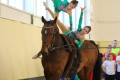 IMG_9428-scaled-1